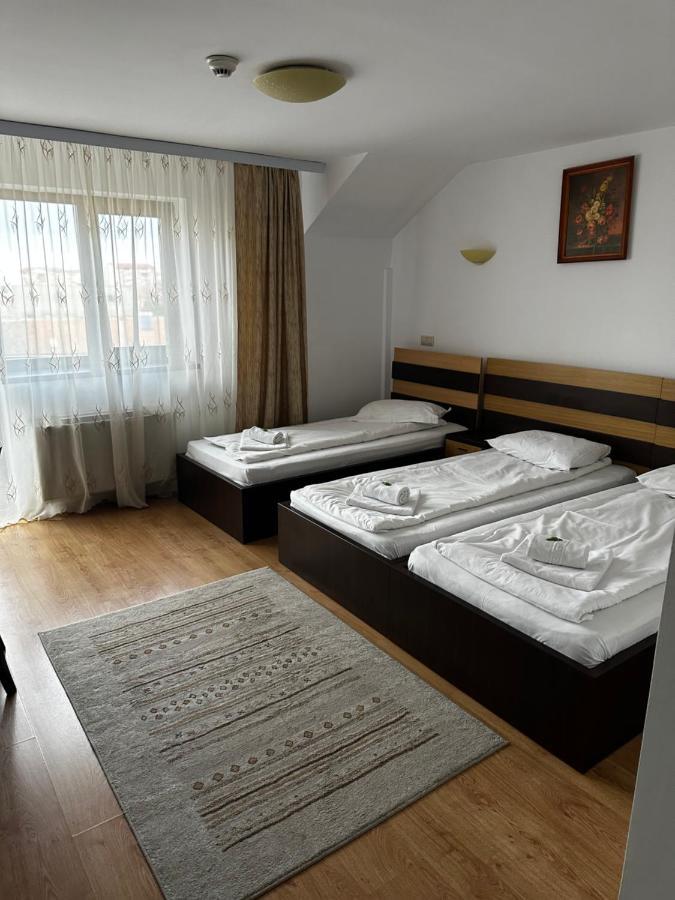 Pensiunea Andra Тимишоара Экстерьер фото